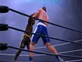 Ultimate Boxing