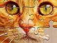 Unlimited Puzzles
