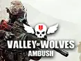 Valley of Wolves Ambush