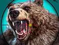 Wildbär Jagdspiel