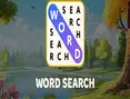Word Search
