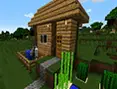 World Craft 2