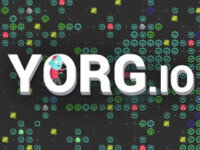 YORG.io
