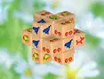 Zen Cube 3D